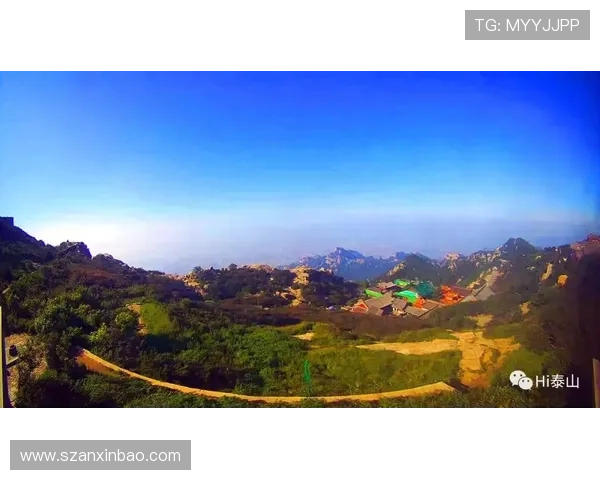 山东泰山节奏混乱加剧，攻防失衡问题逐步显现